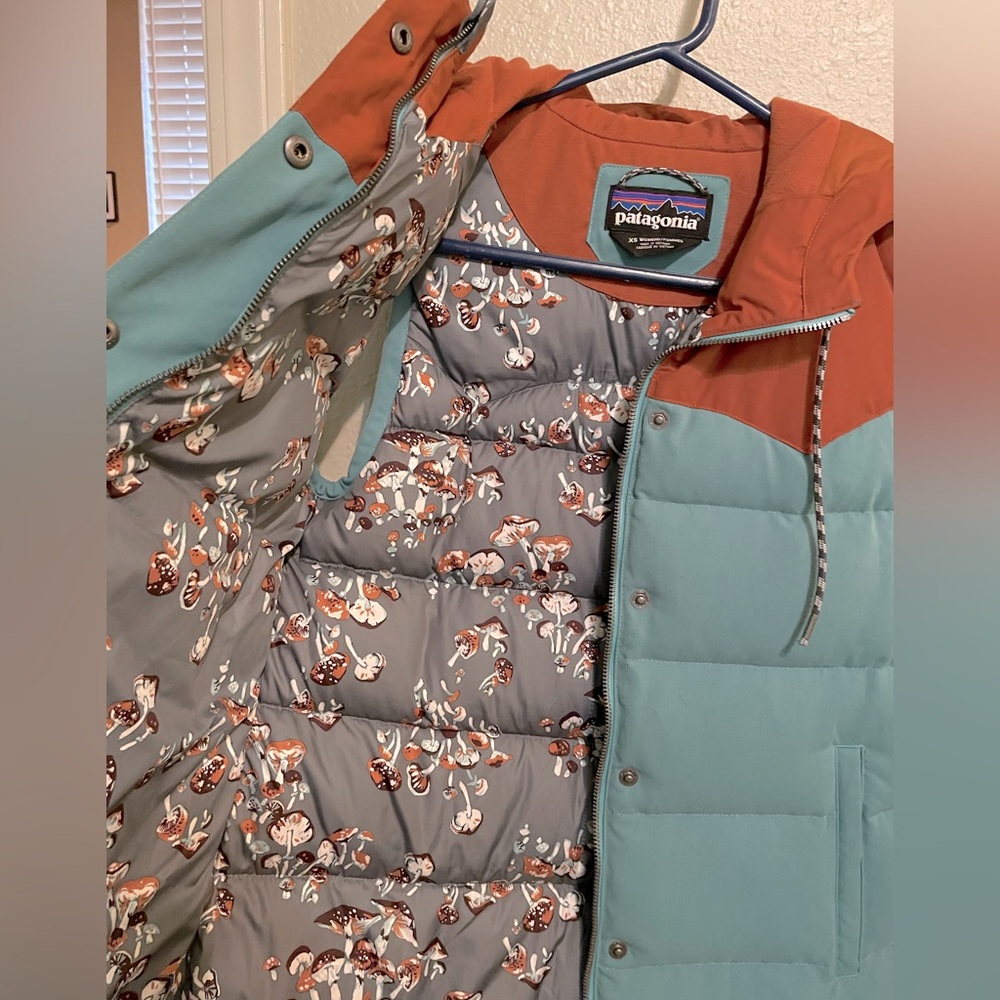 Patagonia goose down bivy vest XS